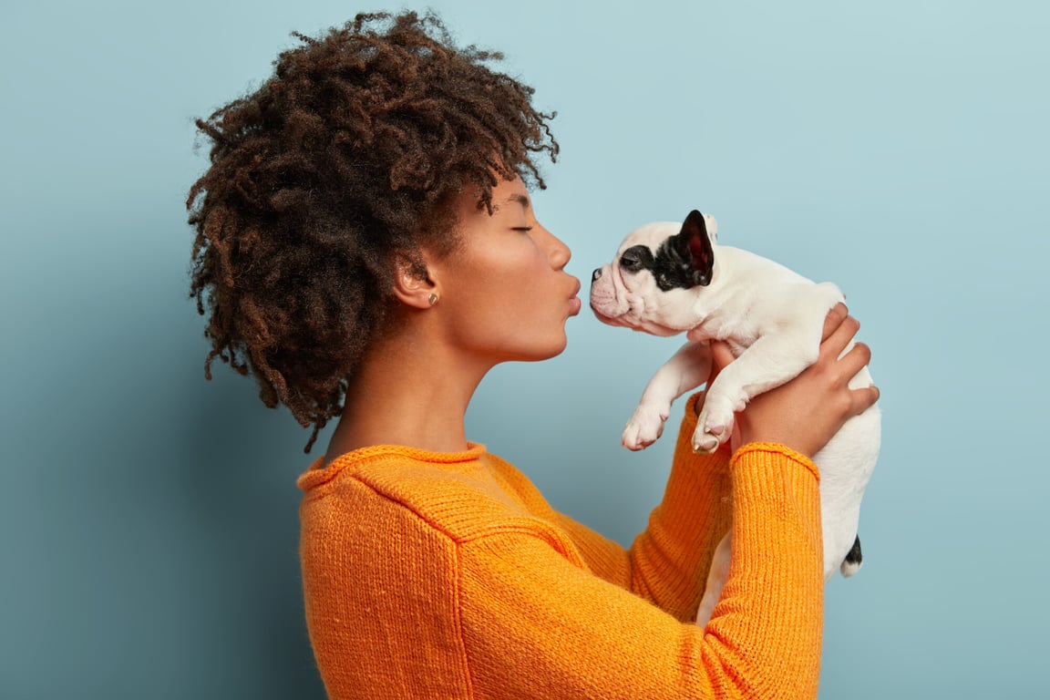 The Pros and Cons of Allowing Pets in your Rental Property